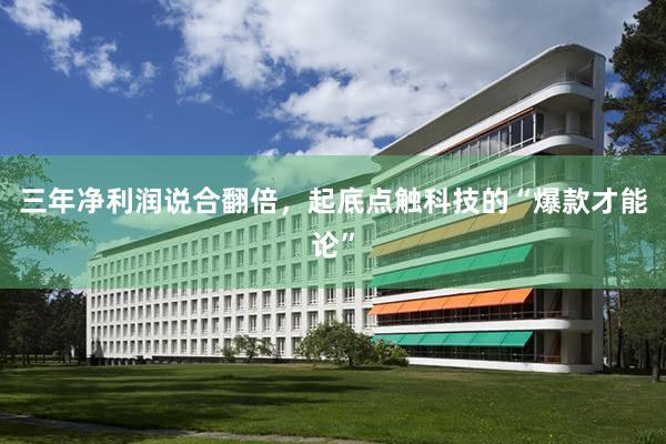 三年净利润说合翻倍，起底点触科技的“爆款才能论”