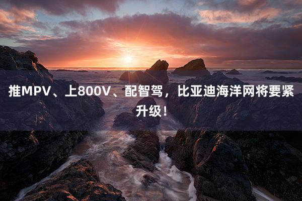 推MPV、上800V、配智驾，比亚迪海洋网将要紧升级！