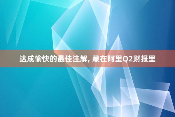 达成愉快的最佳注解, 藏在阿里Q2财报里