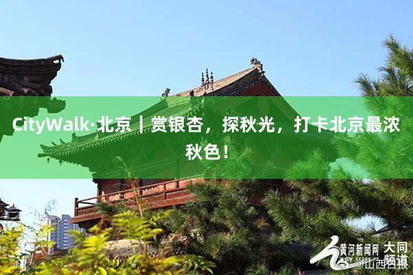 CityWalk·北京｜赏银杏，探秋光，打卡北京最浓秋色！